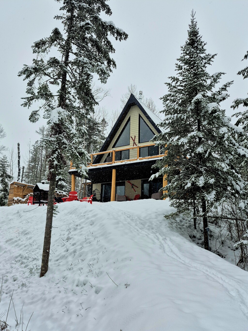 Nature, Arbre, Sapin, Logement, Maison, Abri, Cabane