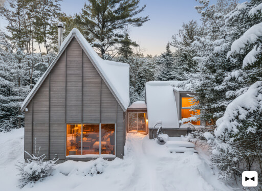 Nature, Logement, Arbre, Maison, Abri, Cabane, Cabane Dans Les Bois
