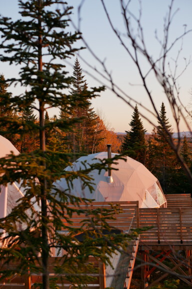 Chalet, Arbre, Sapin, Extérieur, Abri, Conifère, Tente
