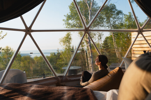 Nature, Canapé, Adulte, Femme, Personne, Femme, Salon