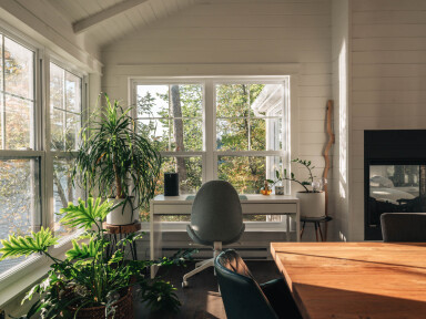 Canada, Interior Design, Window, Plant, Chair, Furniture, French Window