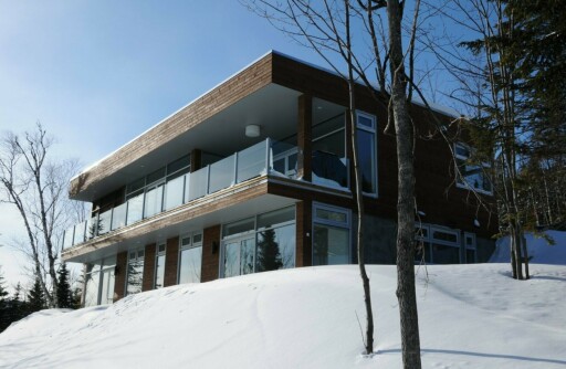 Nature, Logement, Villa, Design D'intérieur, Condo, Immeuble De Bureaux, Arbre