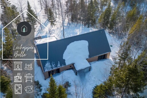 Nature,, Outdoors, Nature, Tree, Vegetation, Woodland, Shelter