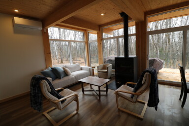 Nature, Design D'intérieur, Bois, Salon, Bois Franc, Plancher, Canapé