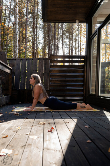 Canada, Bois, Plancher, Plancher, Bois Franc, Contreplaqué, Personne