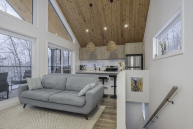 Canada, Design D'intérieur, Salon, Décoration D'intérieur, Bois, Canapé, Panneaux En Bois