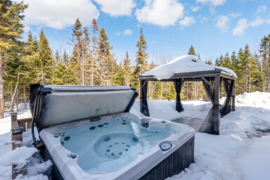 Canada, Baignoire, Bain À Remous, Plante, Arbre, Extérieur