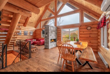 Nature, Intérieur, Design D'intérieur, Bois, Bois Dur, Bois Teinté, Panneaux En Bois