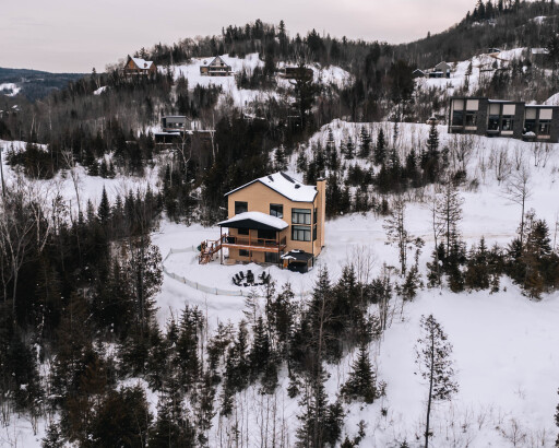 Nature,, Tree, Fir, Nature, Outdoors, Scenery, Housing