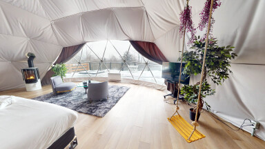 Nature, Design D'intérieur, Abri, Plante, Lit, Décoration D'intérieur, Bois