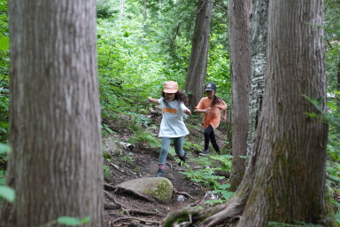 Chalet, Bosquet, Terre, Arbre, Végétation, Forêt, Jungle