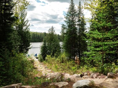 Canada, Scenery, Tree, Wilderness, Vegetation, Fir, Path