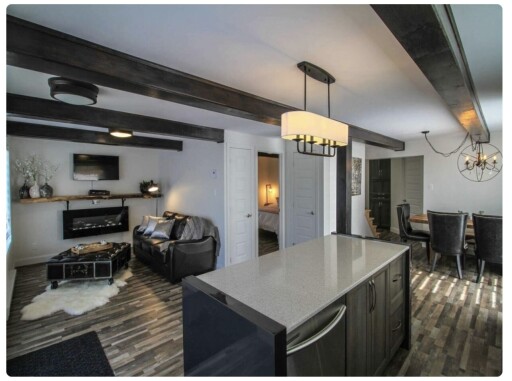 Nature, Intérieur, Design D'intérieur, Décoration D'intérieur, Salon, Salle À Manger, Lustre