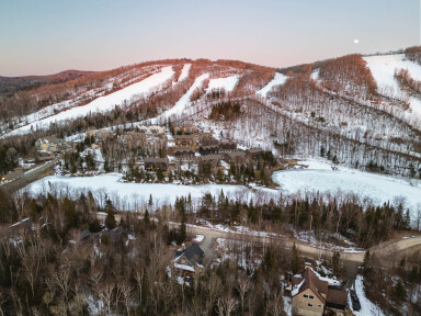 Québec, Arbre, Sapin, Extérieur, Végétation, Nature, Paysage
