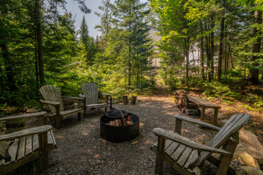 Canada, Arbre, Chaise, Mobilier, Paysage, Végétation, Banc