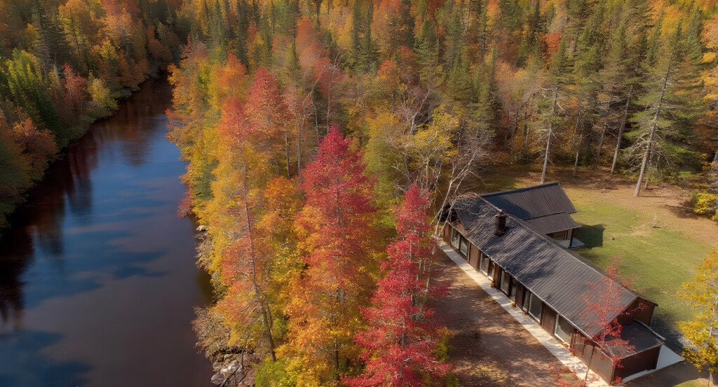 Nature, Arbre, Bâtiment, Extérieur, Abri, Sapin, Cabane