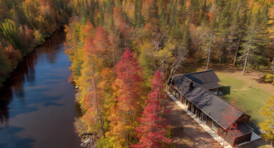 Nature,, Tree, Building, Outdoors, Shelter, Fir, Hut