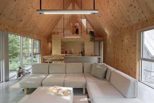 Nature, Design D'intérieur, Bois, Salon, Table, Canapé, Décoration D'intérieur