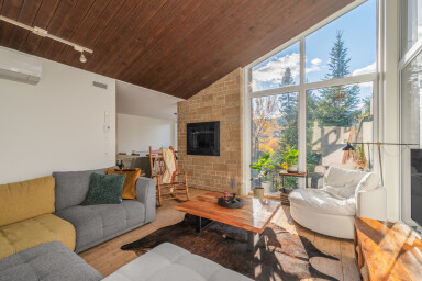 Canada, Design D'intérieur, Salon, Décoration D'intérieur, Plante, Canapé, Bois