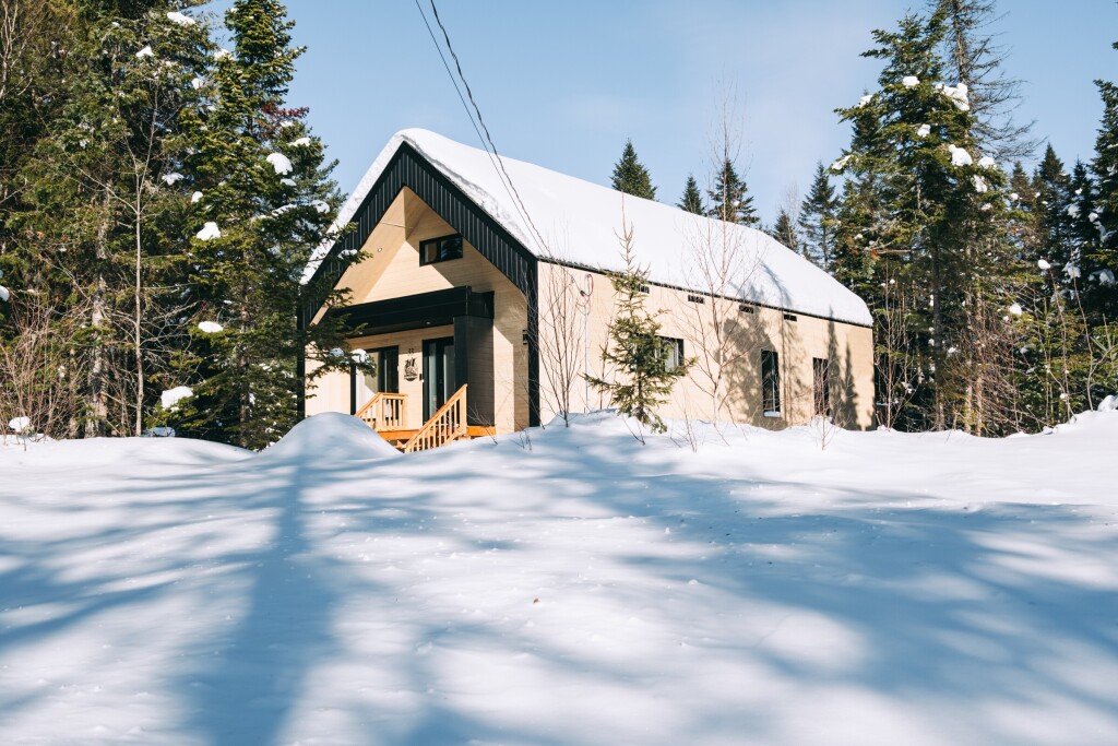 Nature, Abri, Arbre, Sapin, Logement, Cabane, Maison