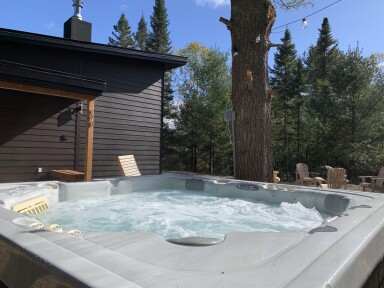 Canada, Tub, Hot Tub, Plant, Tree