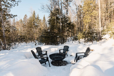 Canada, Nature, Plein Air, Paysage, Arbre, Bois, Chaise