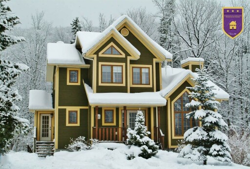 Nature, Plante, Arbre, Logement, Chalet, Maison, Lampe