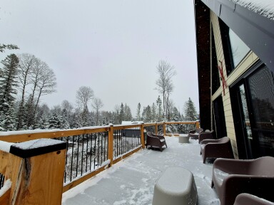 Nature, Chaise, Balustrade, Nature, Extérieur, Arbre, Balustrade