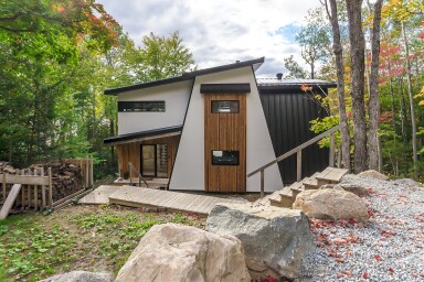 Nature, Abri, Design D'intérieur, Jardin, Logement, Arbre, Bois