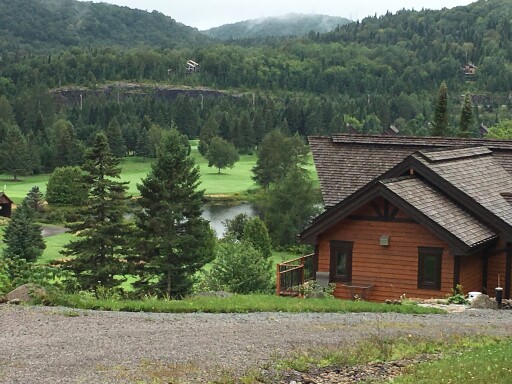 Nature,, Tree, Shelter, Fir, Housing, Scenery, House