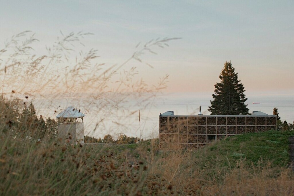 Nature, Arbre, Sapin, Extérieur, Abri, Herbe, Paysage