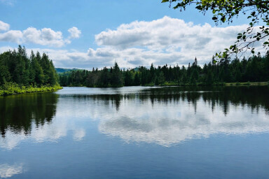 Québec, Nature, Plein Air, Paysage, Lac, Arbre, Paysage