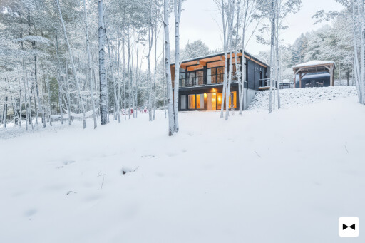 Nature, Bâtiment, Logement, Maison, Animal, Oiseau, Cabane