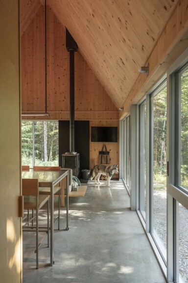 Chalet, Design D'intérieur, Plancher, Bois, Revêtement De Sol, Sac À Main, Chien